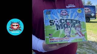 MX107 Soccer Mom - 16 shot 350 Gram Multi-Shot - Sky Bacon Fireworks
