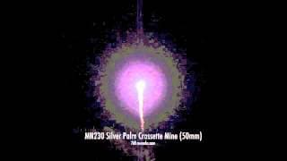 MN230 Silver Palm Crossette Mine (50mm)