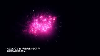 GM430 36s Purple Peony