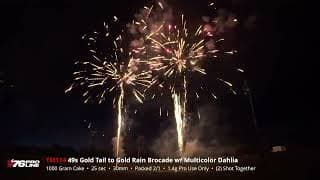 TM114 49s Gold Tail to Gold Rain Brocade w Multicolor Dahlia (25sec) - 76 Pro Line 2024