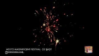 MS172 Magnificent Festival - 25 Shot