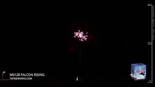 MS128 Falcon Rising – 16 shot