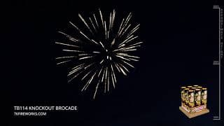 TB114 Knockout Brocade - 9 Shot