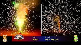 PARTY ANIMALS BS5017 BRIGHT STAR FIREWORKS 2022 NEW ITEMS