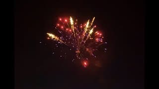 GM182 Spider-Swine - 500G Multi Shot - Sky Bacon Fireworks