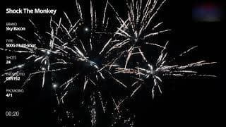GM152 Shock The Monkey - 24 shot 500 Gram Multi Shot - Sky Bacon Fireworks