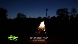 NF107 Green Wasp