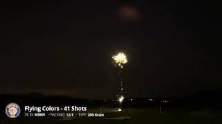 MS691 Flying Colors - 200 Gram Cake - Brothers Pyrotechnics 2024