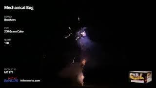 MS173 Mechanical Bug - 100 shot 200 Gram Cake - Brothers